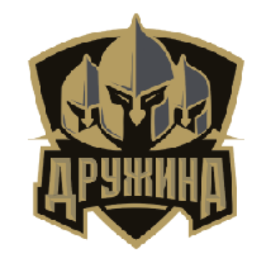 Логотип ДРУЖИНА