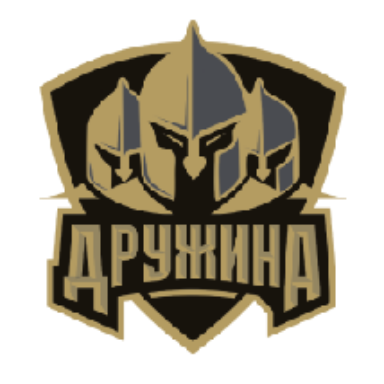Логотип ДРУЖИНА