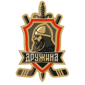 Логотип ДРУЖИНА