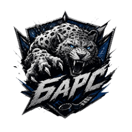 БАРС