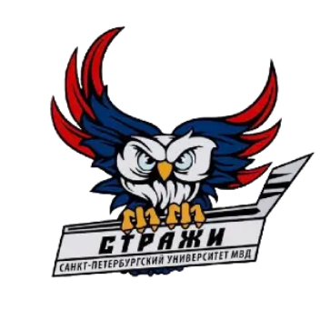 Логотип СТРАЖИ