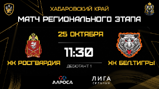 Д1-10