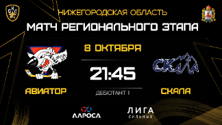 Д1-1