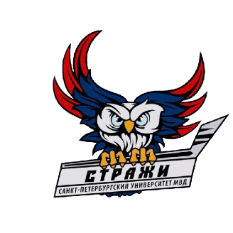 Логотип СТРАЖИ